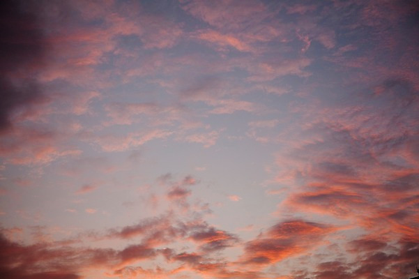 포토 JPG 주간 구름 해외풍경 해외 아시아 배경화면 백그라운드 자연 하늘 풍경 사람없음 야외 노을 일본 일몰 동경 도쿄 오다이바 국내포토 자연요소 나라 생태계 파일형식