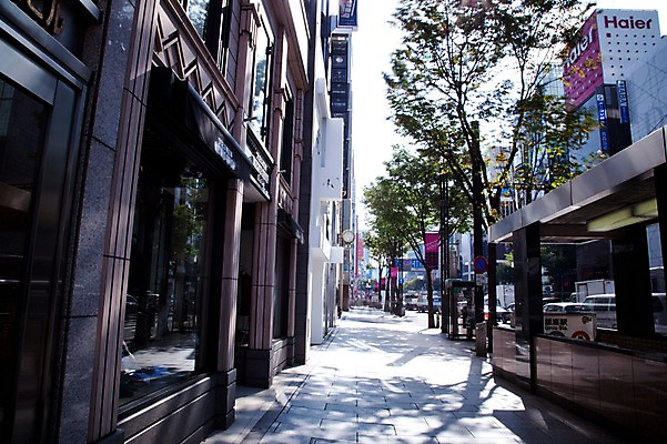 포토 JPG 주간 나무 식물 해외풍경 해외 건축물 현대건축 길 거리 거리풍경 풍경 빌딩 사람없음 야외 건물 도시풍경 일본 원근감 동경 도시 도심 도쿄 오다이바 국내포토 자연요소 건축 아시아 뷰포인트 파일형식