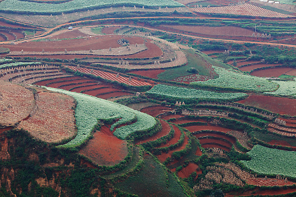 포토 JPG 주간 해외풍경 해외 아시아 밭 풍경 사람없음 야외 중국 계단식 운남 홍토지 국내포토 자연요소 나라 농업 땅 파일형식