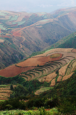 포토 JPG 주간 해외풍경 해외 아시아 밭 풍경 사람없음 야외 중국 계단식 운남 홍토지 국내포토 자연요소 나라 농업 땅 파일형식