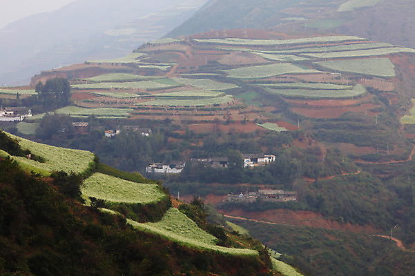 포토 JPG 주간 해외풍경 해외 아시아 밭 주택 풍경 사람없음 야외 마을 중국 계단식 운남 홍토지 국내포토 자연요소 나라 농업 건물 땅 파일형식