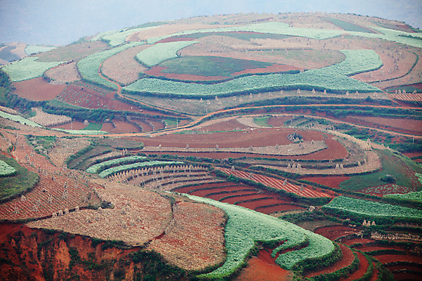 포토 JPG 주간 해외풍경 해외 아시아 밭 풍경 사람없음 야외 중국 계단식 운남 홍토지 국내포토 자연요소 나라 농업 땅 파일형식