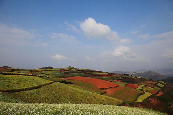 포토 JPG 주간 구름 해외풍경 해외 아시아 밭 하늘 풍경 사람없음 야외 중국 농촌 계단식 운남 홍토지 국내포토 자연요소 나라 농업 시골 땅 파일형식