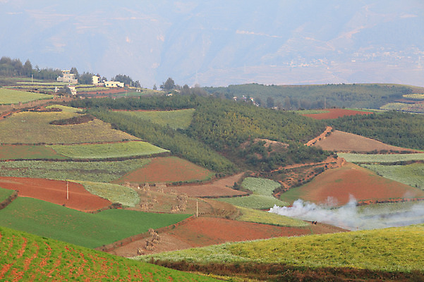 포토 JPG 주간 해외풍경 해외 아시아 밭 풍경 사람없음 야외 중국 농촌 계단식 운남 홍토지 국내포토 자연요소 나라 농업 시골 땅 파일형식