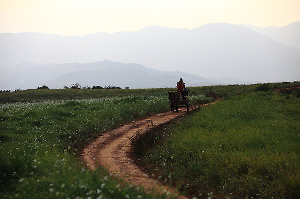 포토 JPG 주간 해외풍경 해외 아시아 길 사람 풍경 초원 야외 농사 중국 수레 농촌 작업 작업실 운남 홍토지 국내포토 자연요소 나라 농업 카트 시골 땅 파일형식