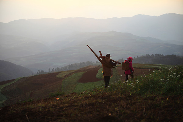 포토 JPG 주간 해외풍경 해외 여자 남자 아시아 사람 풍경 성인 야외 두명 뒷모습 농사 중국 농촌 작업 작업실 운남 홍토지 성인만 국내포토 자연요소 나라 뷰포인트 농업 시골 땅 파일형식
