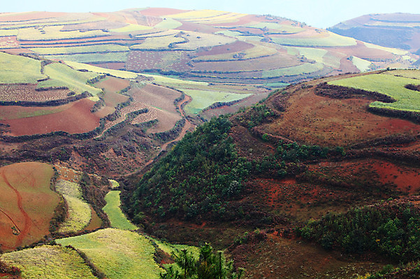 포토 JPG 주간 해외풍경 해외 아시아 밭 풍경 사람없음 야외 중국 농촌 계단식 운남 홍토지 국내포토 자연요소 나라 농업 시골 땅 파일형식