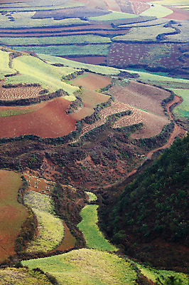 포토 JPG 주간 해외풍경 해외 아시아 밭 풍경 사람없음 야외 중국 농촌 계단식 운남 홍토지 국내포토 자연요소 나라 농업 시골 땅 파일형식