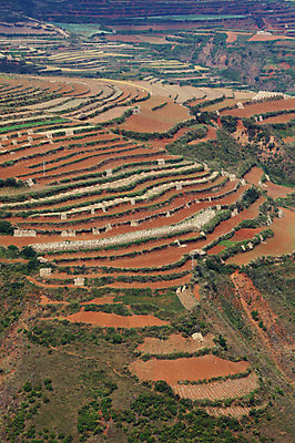 포토 JPG 주간 해외풍경 해외 아시아 밭 풍경 사람없음 야외 중국 농촌 계단식 운남 홍토지 국내포토 자연요소 나라 농업 시골 땅 파일형식