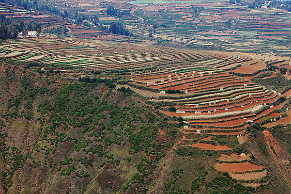 포토 JPG 주간 해외풍경 해외 아시아 밭 풍경 사람없음 야외 중국 농촌 계단식 운남 홍토지 국내포토 자연요소 나라 농업 시골 땅 파일형식