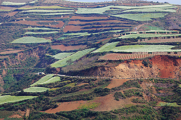 포토 JPG 주간 해외풍경 해외 아시아 밭 풍경 사람없음 야외 중국 농촌 계단식 운남 홍토지 국내포토 자연요소 나라 농업 시골 땅 파일형식