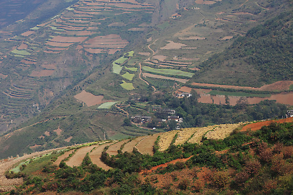 포토 JPG 주간 해외풍경 해외 아시아 밭 풍경 사람없음 야외 중국 농촌 계단식 운남 홍토지 국내포토 자연요소 나라 농업 시골 땅 파일형식