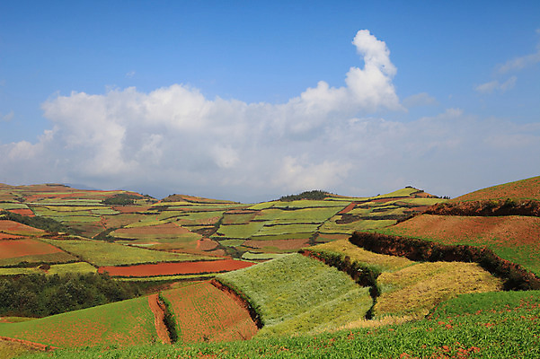포토 JPG 주간 구름 해외풍경 해외 아시아 밭 하늘 풍경 사람없음 야외 중국 농촌 계단식 운남 홍토지 국내포토 자연요소 나라 농업 시골 땅 파일형식