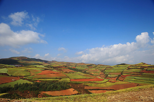 포토 JPG 주간 구름 해외풍경 해외 아시아 밭 하늘 풍경 사람없음 야외 중국 농촌 계단식 운남 홍토지 국내포토 자연요소 나라 농업 시골 땅 파일형식