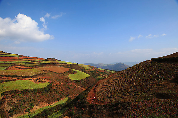 포토 JPG 주간 구름 해외풍경 해외 아시아 밭 하늘 풍경 사람없음 야외 중국 농촌 계단식 운남 홍토지 국내포토 자연요소 나라 농업 시골 땅 파일형식