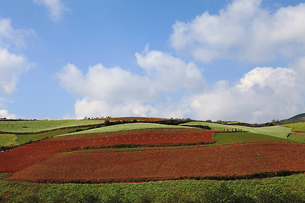 포토 JPG 주간 구름 해외풍경 해외 아시아 밭 하늘 풍경 사람없음 야외 중국 농촌 계단식 운남 홍토지 국내포토 자연요소 나라 농업 시골 땅 파일형식