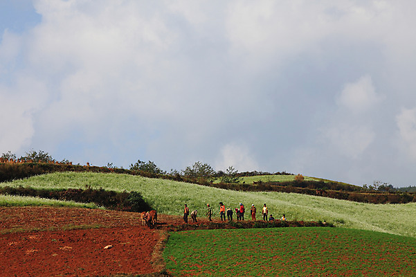 포토 JPG 주간 구름 해외풍경 해외 아시아 밭 하늘 풍경 사람없음 야외 중국 농촌 계단식 운남 홍토지 국내포토 자연요소 나라 농업 시골 땅 파일형식