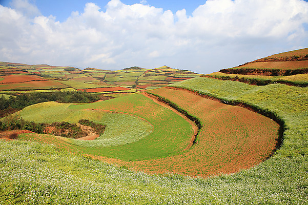 포토 JPG 주간 구름 해외풍경 해외 아시아 밭 하늘 풍경 사람없음 야외 중국 농촌 계단식 운남 홍토지 국내포토 자연요소 나라 농업 시골 땅 파일형식