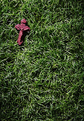 포토 JPG 스튜디오촬영 종교 십자가 종교용품 실내 잔디 초원 사람없음 천주교 풀 오브젝트 천주교용품 국내포토 식물 내부 파일형식