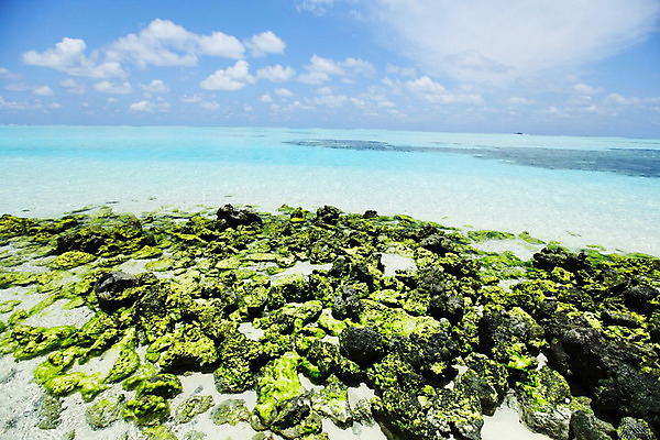 포토 JPG 해외이미지 구름 커플 계절 모래 파도 바다 섬 여행 백그라운드 태국 자연 하늘 휴가 휴식 어류 풍경 사람없음 야외 물 여름 파란색 컬러풀 태양 맑음 바위 스노클링 산호 휴양지 다이빙 암초 남쪽 석호 내추럴 안다만 이국적 파라다이스 수평선 해외202004 해외202105 해외포토 자연요소 아시아 컬러 컨셉 관계 날씨 수영 수중동물 장소 돌_바위 수상스포츠 자포동물 방향 생태계 수중스포츠 파일형식