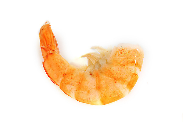 포토 JPG 해외이미지 새우 사람없음 해산물 흰배경 해외202004 해외202105 해외포토 백그라운드 갑각류 흰색 파일형식