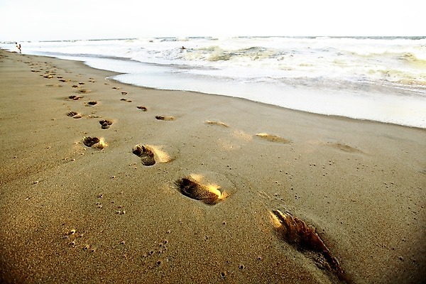 포토 JPG 해외이미지 길 모래 파도 바다 섬 여행 맨발 자연 휴가 휴식 풍경 사람없음 야외 물 여름 태양 평화 맑음 산책 거품 서핑 고독 떨어짐 인쇄 발자국 탈출 흔적 질감 주말 단계 방법 양발 혼자 각인 해외202004 해외202105 해외포토 자연요소 계절 감정 컨셉 자국 발 날씨 수상스포츠 생태계 파일형식