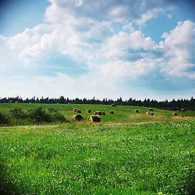 포토 JPG 해외이미지 나무 식물 구름 계절 백그라운드 밭 자연 하늘 날씨 풍경 잔디 초원 사람없음 야외 초록색 여름 파란색 빛 컬러풀 햇빛 태양 농장 환경 봄 흰색 전원 시골 신선 땅 장면 내추럴 넘어짐 밭일 평야 수평선 해외202004 해외202105 해외포토 자연요소 컬러 농업 모션 전기에너지 생태계 파일형식