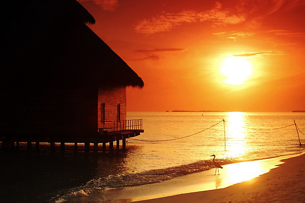 포토 JPG 해외이미지 구름 라이프스타일 물결 바다 섬 여행 자연 하늘 호텔 휴가 휴식 주택 손바닥 풍경 사람없음 물 여름 파란색 일출 맑음 일몰 꿈 낭만 전원 만 뜨거움 고급 빌라 휴양지 방갈로 석호 몰디브 이국적 터키석 파라다이스 해외202004 해외202105 해외포토 자연요소 손 계절 아시아 컬러 컨셉 숙소 날씨 건물 생활 노을 장소 전기에너지 보석 생태계 파일형식