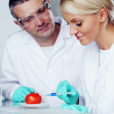 포토 JPG 해외이미지 식물 학생 남자 안경 음식 과학 장갑 토마토 채소 노동자 생물 직장 건강 현미경 실험 성인 두명 빨간색 초록색 스터디 약 교사 시험 의사 흰색 신선 업무 실험실 DNA 연구원 과학자 분석 생물학 미생물 공학 발견 개발 유전자변형 화학물질 해외202004 해외202105 해외포토 직업 잡화 교육 컬러 컨셉 회사 의학 실험기구 사람 학습 의료진 작업 화학 생명공학 학자 파일형식