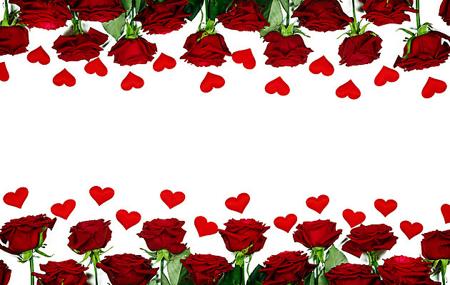 포토 JPG 해외이미지 모양 디자인 계절 기념일 꽃 행복 꽃다발 결혼 백그라운드 잎 꽃무늬 자연 결혼식 추상 휴가 새로움 프레임 발렌타인데이 선물 사랑 사람없음 장식 빨간색 초록색 장미 파티 기쁨 낭만 벚꽃 흰색 하트 축하 달콤 다발 심볼 질감 열정 약혼 고립 국경 해외202004 해외202105 해외포토 식물 감정 컬러 컨셉 무늬 데이이벤트 이벤트 맛 생태계 약속 파일형식