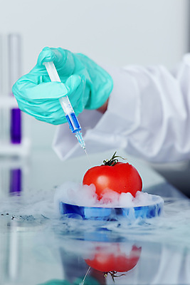 포토 JPG 해외이미지 학생 손 여자 남자 음식 과학 백그라운드 잎 농업 다이어트 토마토 채소 과일 공장 건강 실험 주사기 요리 사람없음 빨간색 초록색 정원 교수 흰색 신선 작업 그룹 실험실 맛 떨어짐 보호 DNA 먹기 과학자 싱글 미생물 고립 유전 유전자변형 화학물질 해외202004 해외202105 해외포토 식물 직업 산업 컬러 컨셉 공업 의료기기 모션 생물 사람 신체부위 교사 화학 생명공학 학자 파일형식