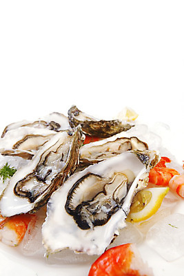 포토 JPG 해외이미지 식재료 새우 실내 사람없음 얼음 굴 신선 레몬 흰배경 해외202004 해외202105 해외포토 자연요소 백그라운드 과일 어패류 갑각류 내부 흰색 파일형식