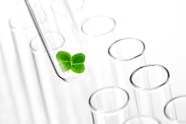 포토 JPG 해외이미지 식물 음식 과학 잎 농업 자연 유리 실험 사람없음 약 새싹 환경 성장 흰색 실험실 DNA 생명공학 에코 미생물 튜브 공학 개발 모종 생태학 유전 유전자변형 해외202004 해외202105 해외포토 교육 산업 컬러 의학 재질 생물 생태계 파일형식