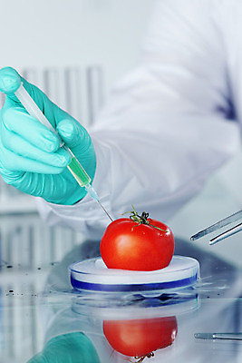 포토 JPG 해외이미지 학생 손 여자 남자 음식 과학 백그라운드 잎 농업 다이어트 토마토 채소 과일 공장 건강 실험 주사기 요리 한명 빨간색 초록색 정원 교수 흰색 신선 작업 그룹 실험실 맛 떨어짐 보호 DNA 먹기 과학자 싱글 미생물 고립 유전 유전자변형 화학물질 해외202004 해외202105 해외포토 식물 직업 1 산업 컬러 컨셉 공업 의료기기 모션 생물 사람 신체부위 교사 화학 생명공학 학자 파일형식
