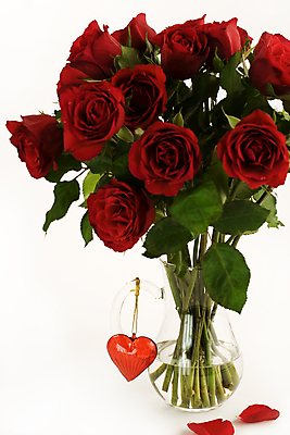 포토 JPG 해외이미지 꽃잎 꽃다발 실내 사람없음 장식 장미 꽃병 하트 흰배경 해외202004 해외포토 모양 꽃 백그라운드 내부 흰색 파일형식