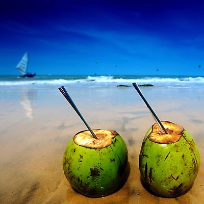 포토 JPG 해외이미지 구름 라이프스타일 음료 모래 파도 바다 여행 과일 자연 하늘 휴가 휴식 따뜻함 건강 풍경 사람없음 물 여름 파란색 맑음 침묵 우유 흰색 신선 칵테일 뜨거움 달콤 탈출 장면 코코넛 멀리 공화국 이국적 파라다이스 해외202004 해외202105 해외포토 자연요소 계절 나라 컬러 컨셉 날씨 유제품 주류 생활 소리 맛 생태계 파일형식