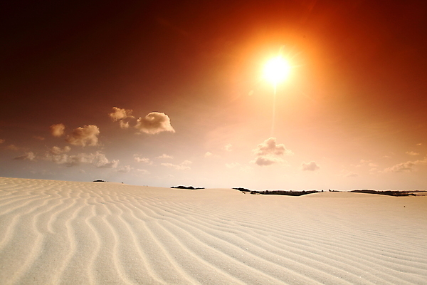 포토 JPG 해외이미지 물결 모래 여행 백그라운드 오렌지 아프리카 자연 건조 따뜻함 파노라마 피곤 이집트 풍경 사람없음 야외 빨간색 여름 모래사장 노란색 여행객 일출 맑음 일몰 사막 탐험 뜨거움 고독 갈증 모래언덕 사파리 언덕 지역 모로코 사하라 아랍어 해외202004 해외202105 해외포토 계절 감정 나라 바다 컬러 컨셉 과일 날씨 촬영기법 사람 노을 생태계 파일형식