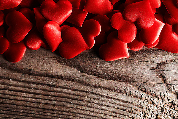 포토 JPG 해외이미지 사랑 사람없음 하트 많음 나무배경 해외202004 해외202105 해외포토 모양 감정 백그라운드 컨셉 파일형식