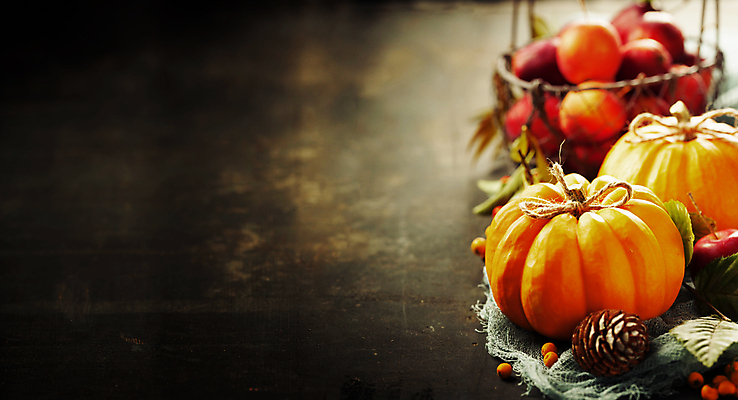 포토 JPG 해외이미지 리본 호박 실내 사람없음 농작물 가을 사과 나무바닥 솔방울 사과바구니 카피스페이스 해외202004 해외포토 계절 농업 채소 과일 바닥 내부 바구니 공백 파일형식