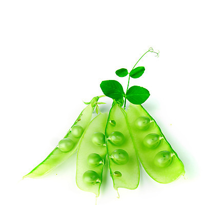 포토 JPG 해외이미지 식물 라이프스타일 계절 꽃잎 음식 줄기 백그라운드 잎 패턴 곡선 다이어트 채소 과일 자연 건강 요리 씨앗 사람없음 초록색 농작물 약 정원 수확 성장 흰색 신선 오픈 그룹 시장 닫기 달콤 먹기 오브젝트 유기농 완두콩 날것 내추럴 고립 꼬투리 숙성 줄서기 해외202004 해외202105 해외포토 웰빙 꽃 선 컬러 무늬 농업 의학 모션 콩 생활 맛 생태계 파일형식