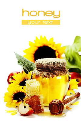 포토 JPG 해외이미지 해바라기 실내 타이포그라피 사람없음 달콤 사과 흰배경 꿀 벌집 꿀단지 허니디퍼 카피스페이스 해외202004 해외포토 문자 꽃 백그라운드 과일 내부 공백 흰색 도구 맛 파일형식