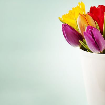 포토 JPG 해외이미지 화분 꽃다발 봄꽃 실내 근접촬영 사람없음 튤립 카피스페이스 민트색배경 해외202004 해외포토 꽃 뷰포인트 백그라운드 내부 봄 공백 민트색 파일형식