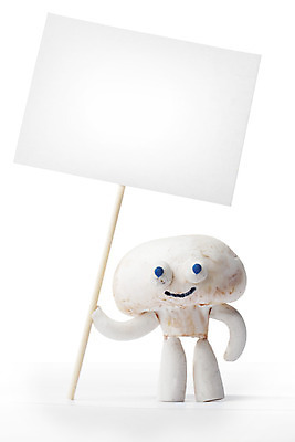 포토 JPG 해외이미지 캐릭터 손 디자인 행복 종이 음식 백그라운드 채소 광고판 건강 미소 사람없음 버섯 공백 방 흰색 잡기 신용카드 메시지 만화 먹기 사인 유기농 쇼 고립 마스코트 진짜 채식주의자 해외202004 해외202105 해외포토 웰빙 감정 컬러 모션 알림판 표정 신체부위 금융 채식 판 파일형식