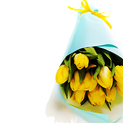 포토 JPG 해외이미지 리본 꽃다발 실내 사람없음 튤립 흰배경 카피스페이스 해외202004 해외포토 꽃 백그라운드 내부 공백 흰색 파일형식