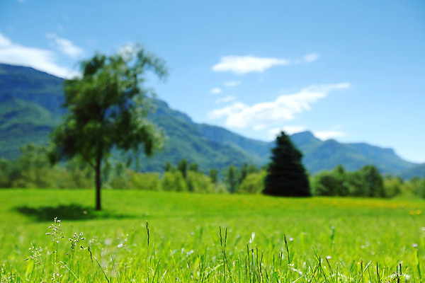 포토 JPG 해외이미지 나무 구름 꽃 유럽 여행 백그라운드 밭 자연 하늘 휴가 산 파노라마 풍경 초원 사람없음 야외 초록색 여름 파란색 농장 걷기 환경 계곡 맑음 봄 등산 하이킹 프랑스 시골 소나무 오스트리아 숲 언덕 알프스 절정 해외202004 해외202105 해외포토 자연요소 식물 계절 나라 컬러 농업 모션 레저 날씨 촬영기법 트래킹 생태계 파일형식