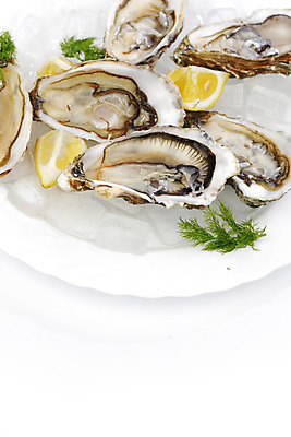 포토 JPG 해외이미지 접시 식재료 실내 사람없음 얼음 굴 신선 레몬 흰배경 해외202004 해외202105 해외포토 자연요소 식기 백그라운드 과일 어패류 내부 흰색 파일형식