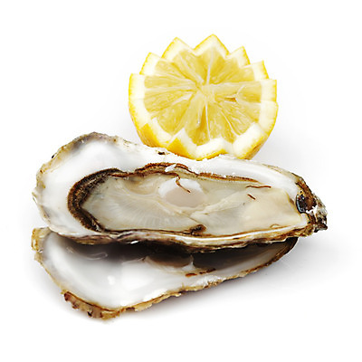 포토 JPG 해외이미지 식재료 실내 근접촬영 사람없음 굴 신선 레몬 흰배경 해외202004 해외202105 해외포토 뷰포인트 백그라운드 과일 어패류 내부 흰색 파일형식