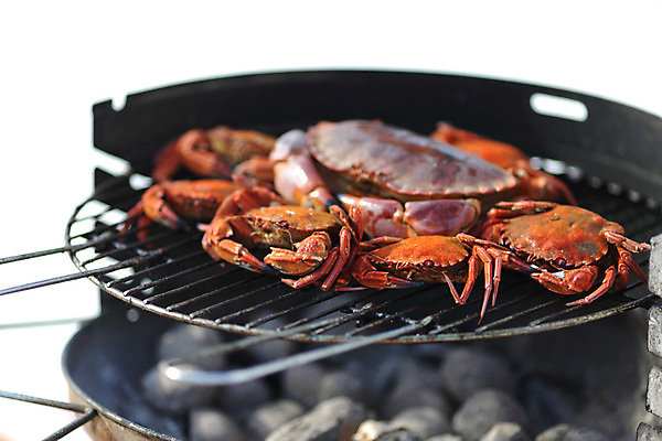 포토 JPG 해외이미지 사람없음 게 신선 그릴 바비큐 굽기 해산물 흰배경 집게발 해외202004 해외202105 해외포토 음식 백그라운드 주방용품 갑각류 흰색 구이 파일형식