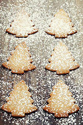 포토 JPG 해외이미지 크리스마스 실내 사람없음 여러개 달콤 나무바닥 슈가파우더 크리스마스트리모양쿠키 트리모양 해외202004 해외포토 모양 기념일 다수 바닥 내부 크리스마스트리 쿠키 맛 파일형식