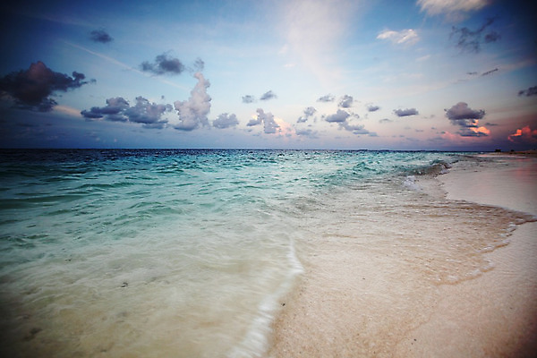 포토 JPG 해외이미지 구름 계절 실루엣 호수 모래 파도 바다 여행 백그라운드 오렌지 자연 하늘 아침 날씨 휴가 풍경 사람없음 물 여름 파란색 빛 컬러풀 햇빛 태양 반사 평화 일출 맑음 어둠 황혼 일몰 봄 새벽 황금 야간 저녁 장면 지역 수평선 해외202004 해외202105 해외포토 주간 자연요소 컬러 컨셉 과일 촬영기법 노을 생태계 파일형식
